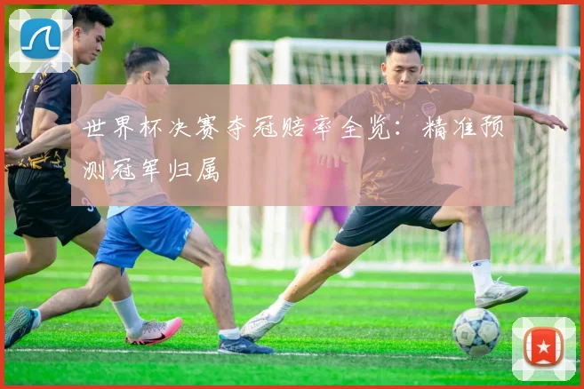 世界杯决赛夺冠赔率全览:精准预测冠军归属